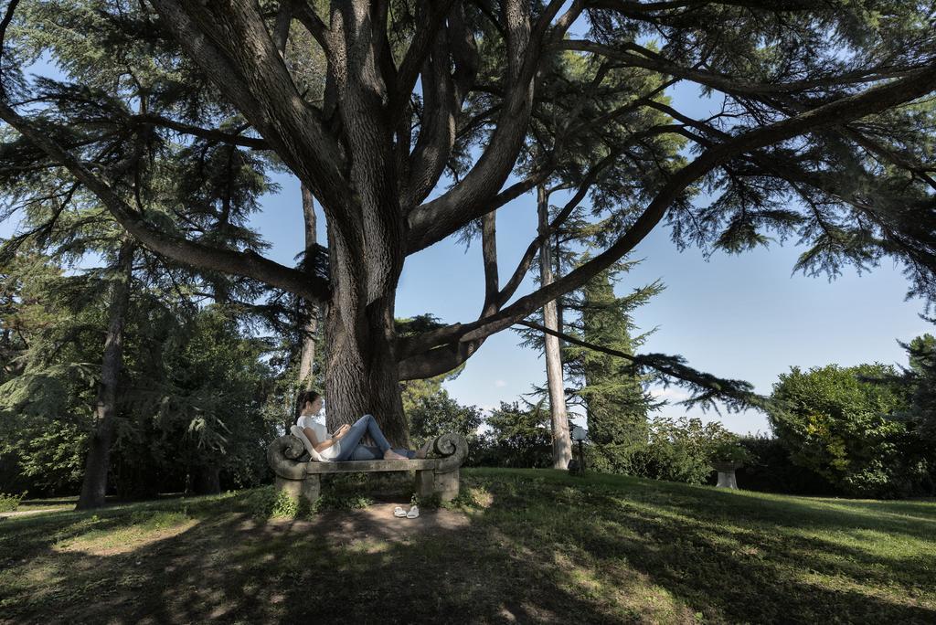 Posta Donini 1579 - Una Esperienze San Martino In Campo Luaran gambar